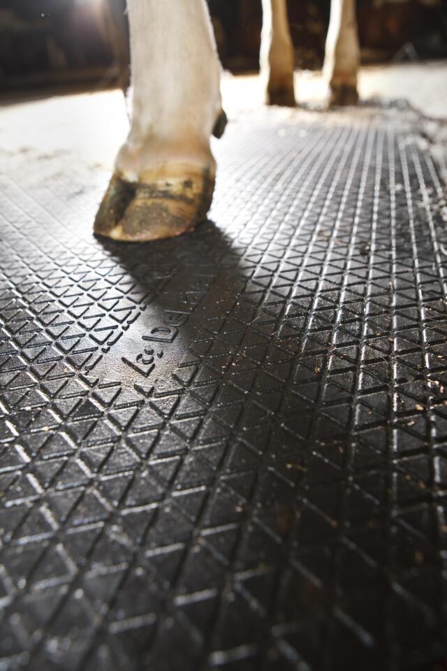 Confort animal, camas para vacas