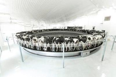 Sala rotativa