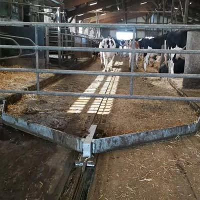 Manejo estiercol